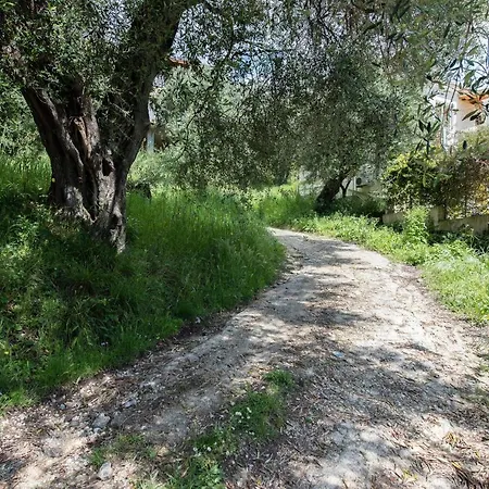 Lily's House Áno Korakiána