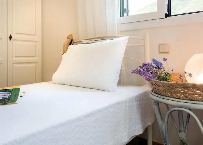 Casa de Férias Lily's House