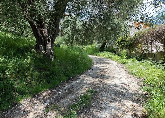 Lily's House Áno Korakiána