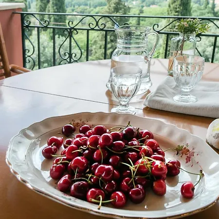 Lily's House Áno Korakiána