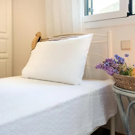 Casa vacanze Lily's House